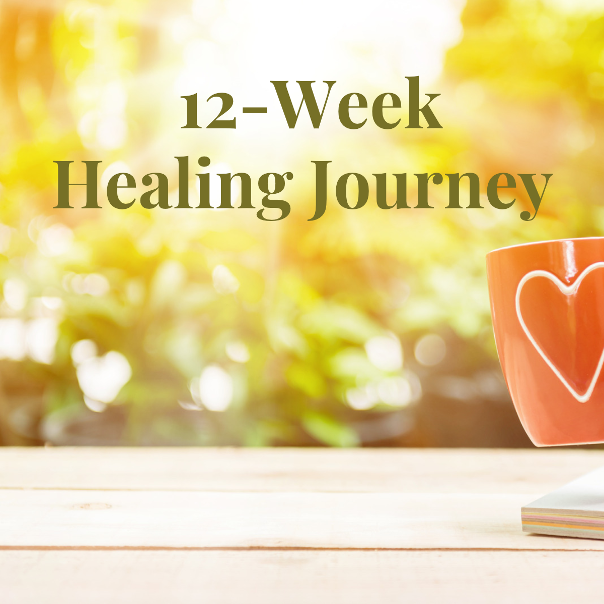 12-Week Healing Journey - Website