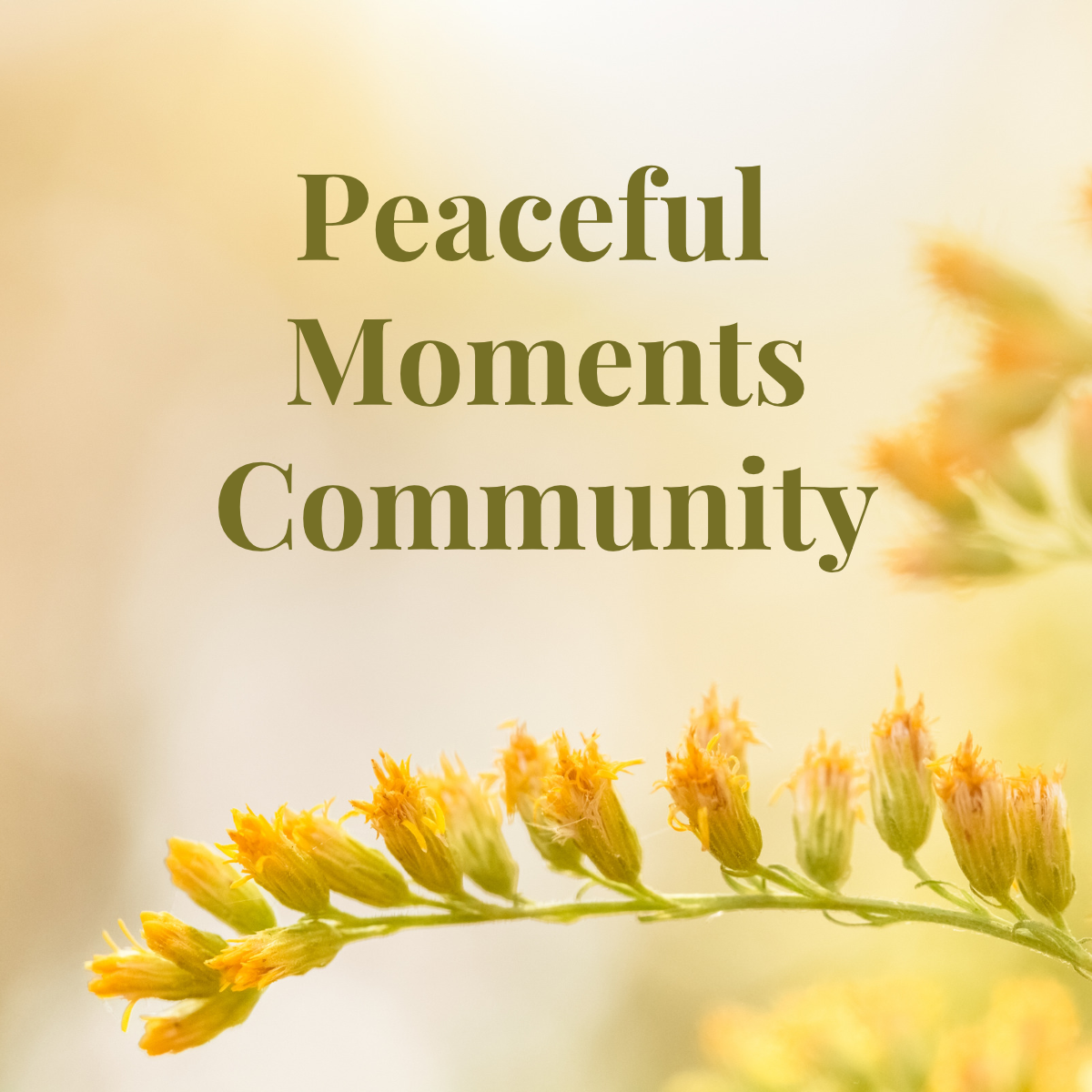 Peaceful Moments Community - Website